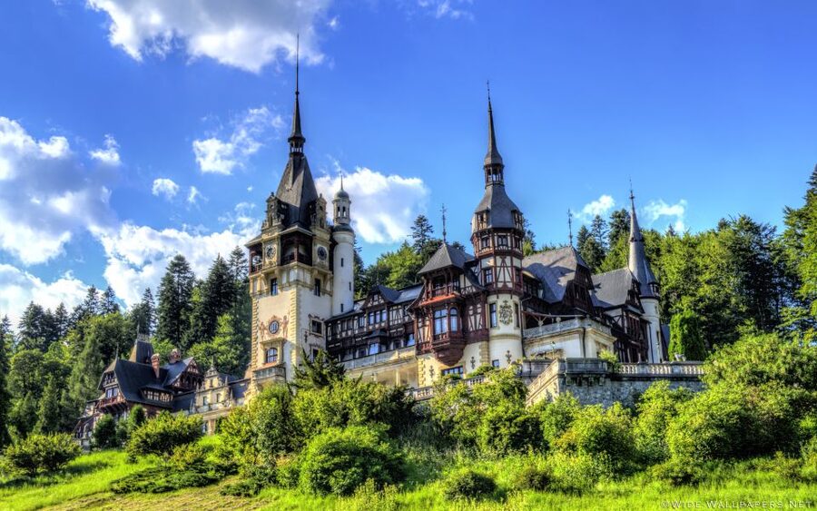 From Bucharest: Day Trip to Dracula and Peles Castle - Lunch and the return to Bucharest
