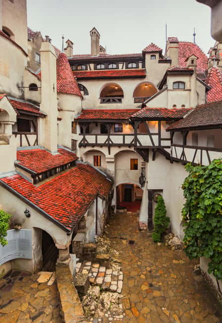 From Bucharest : Day Trip to Peles, Dracula's Castle, Brasov - Brașov brings medieval streets and city life