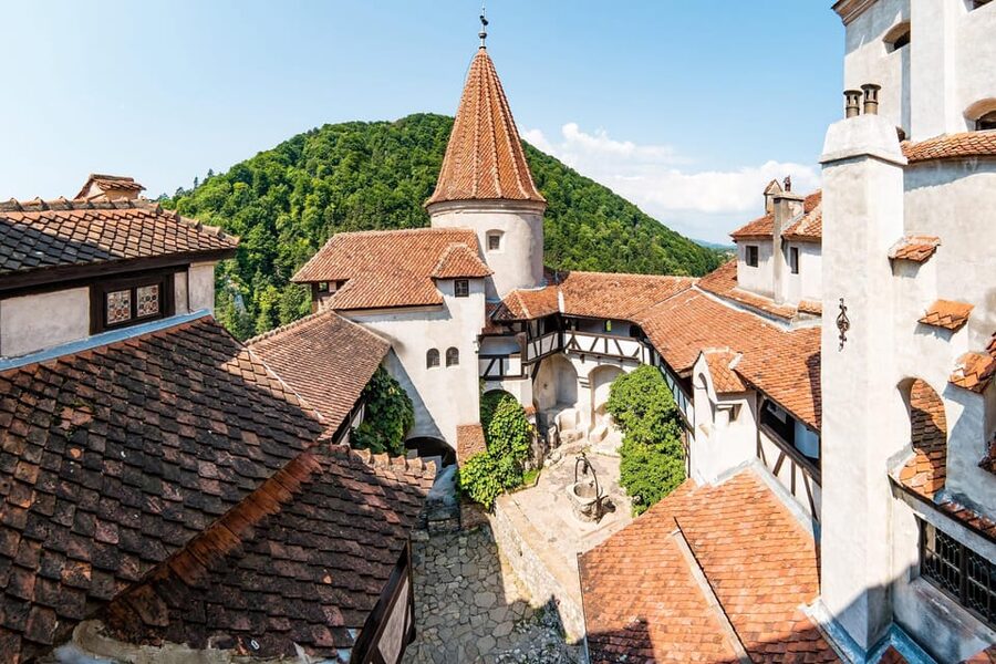 From Bucharest : Day Trip to Peles, Dracula's Castle, Brasov - Guide style, languages, and audio support