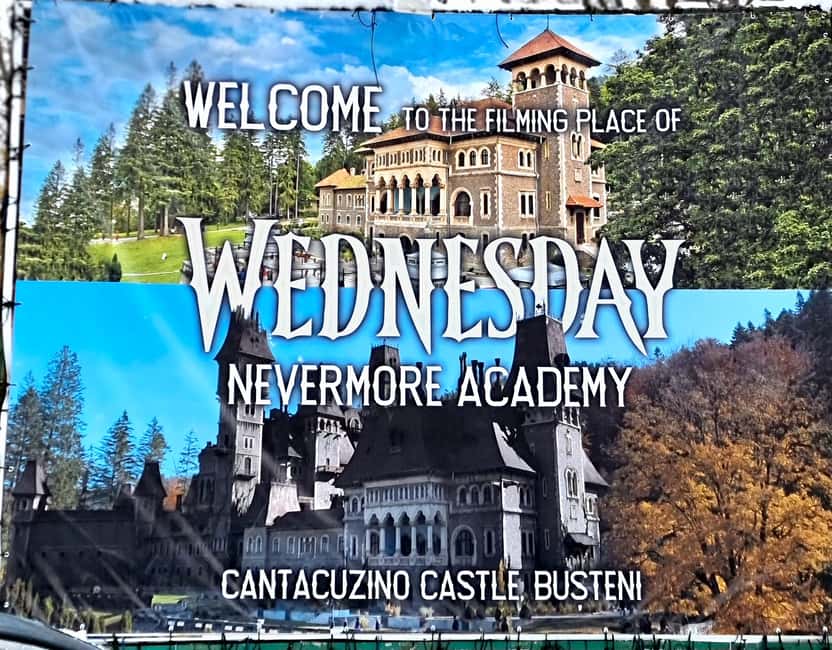 From Bucharest: Dracula, Wednesday, and Peles Castles Tour - Who should book this tour?