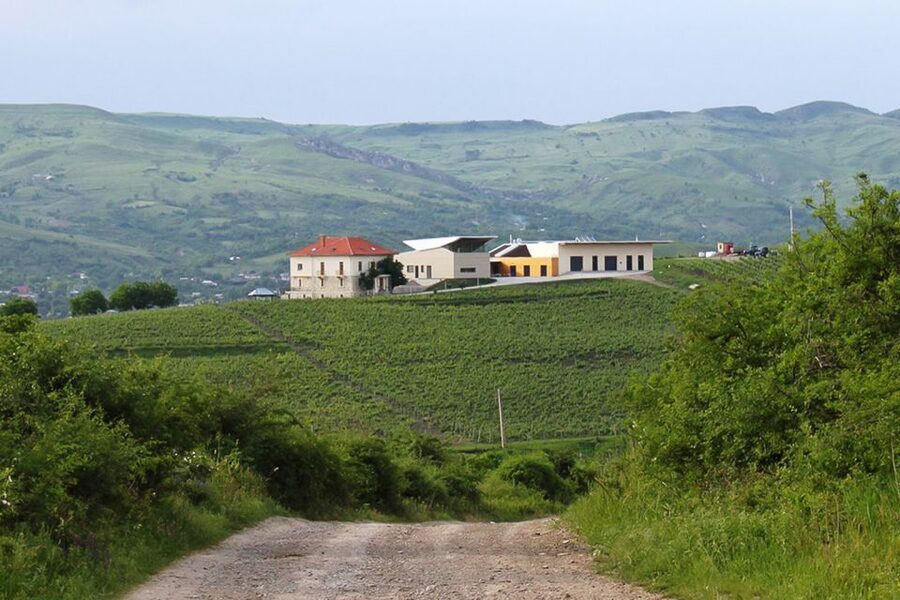 From Bucharest: Exclusive Dealu Mare Wine Tasting Tour - Why Dealu Mare is worth a day from Bucharest
