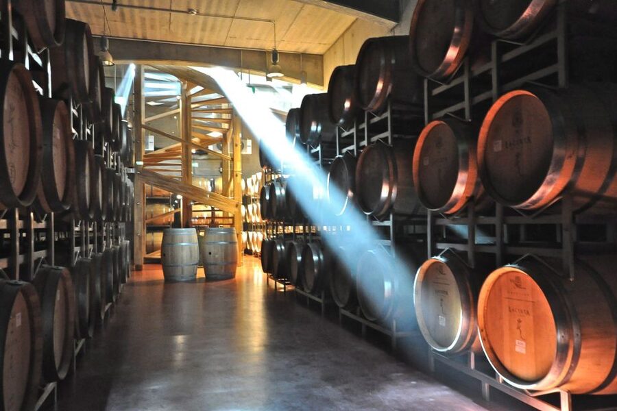 From Bucharest: Exclusive Dealu Mare Wine Tasting Tour - 1000 Chipuri: a closer look at family winemaking