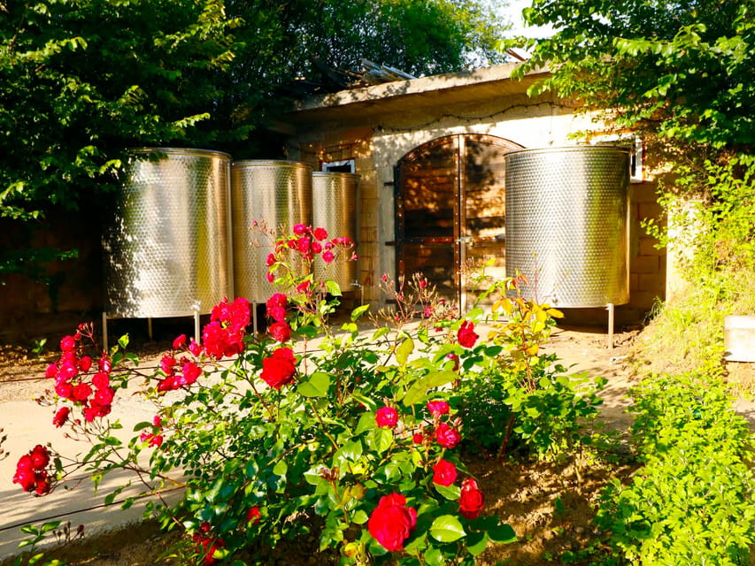 From Bucharest: Exclusive Dealu Mare Wine Tasting Tour - Twelve wines, but not a drinking contest