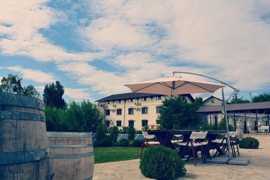 From Bucharest: Exclusive Dealu Mare Wine Tasting Tour - Who should book this Dealu Mare outing?