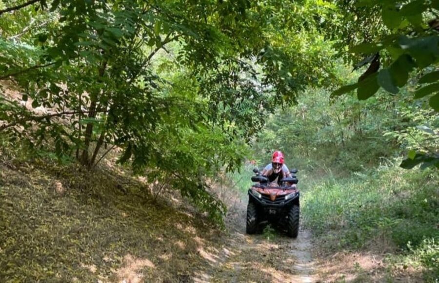 From Bucharest: Forest and Hills ATV Quad Bike Tour - What the views are really like