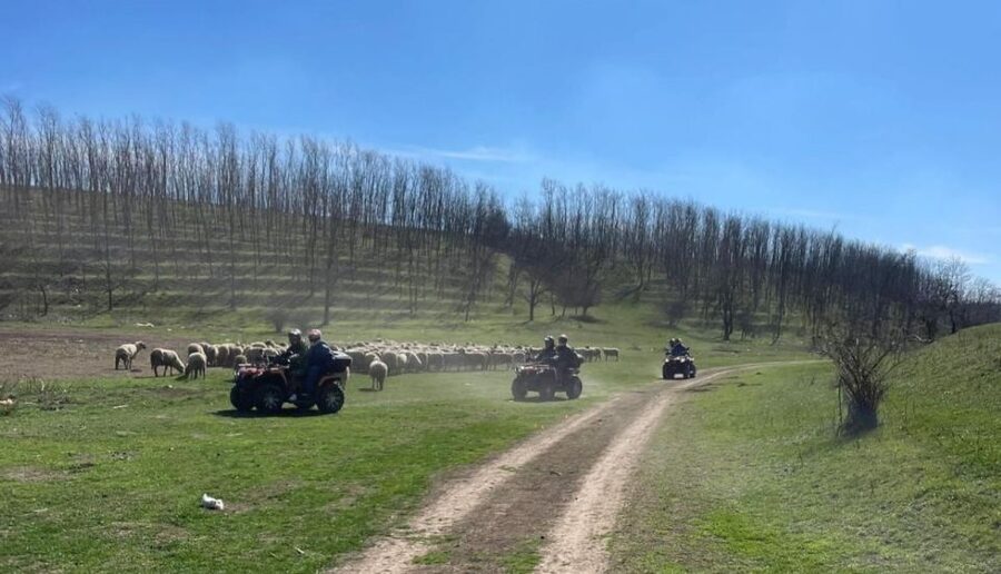 From Bucharest: Forest and Hills ATV Quad Bike Tour - Practical tips for a better ride