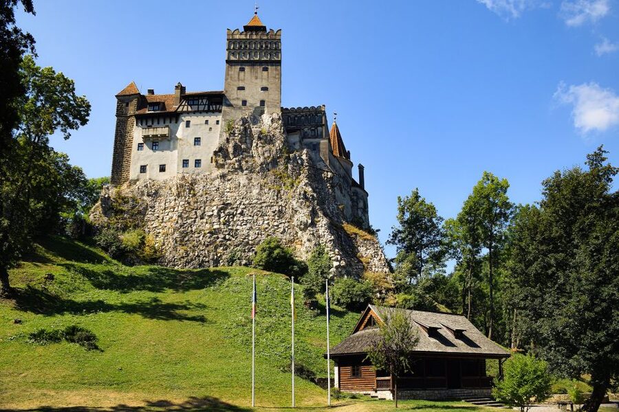 From Bucharest: Libearty Bear Sanctuary and Dracula's Castle - Bran Castle and the Dracula connection