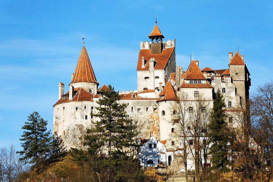 From Bucharest: Libearty Bear Sanctuary and Dracula's Castle - The drive from Bucharest to the Carpathians