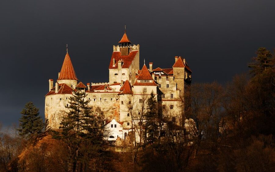 From Bucharest: Peleș and Bran Castles Private Tour - Key points to know before booking