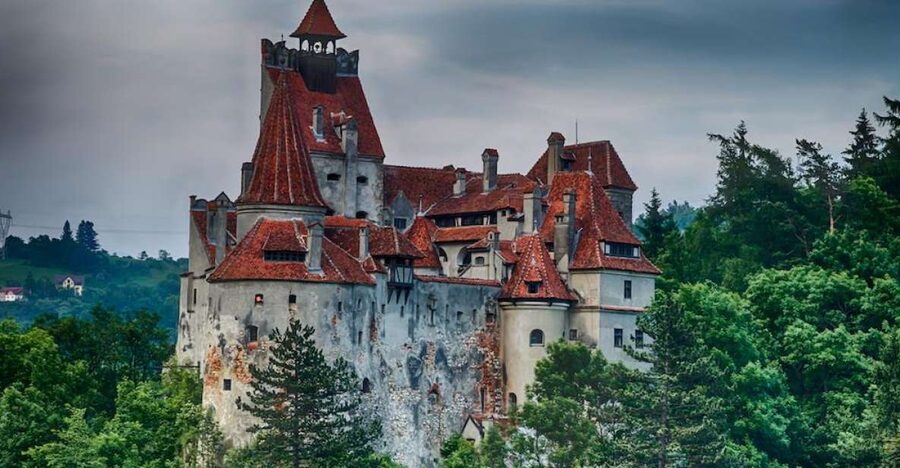 From Bucharest: Peleș and Bran Castles Private Tour - The private vehicle and the driving question