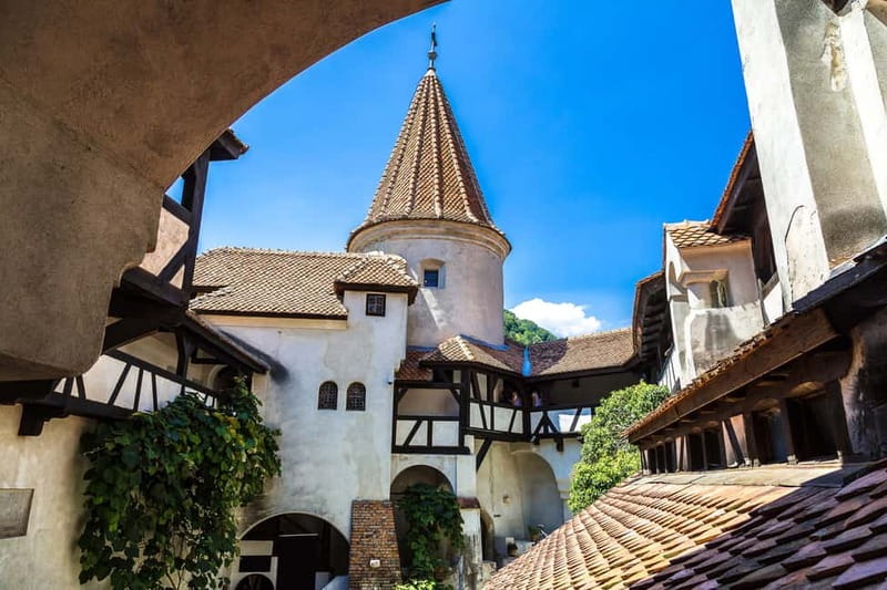 From Bucharest: Peles Castle, Brasov & Bran Castle Day Trip - Guides, timing, and group management