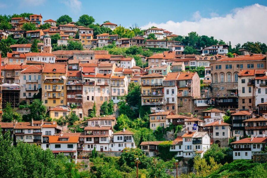 From Bucharest: Small Group Day Trip to Medieval Bulgaria - Bulgarian Lunch and Local Flavors