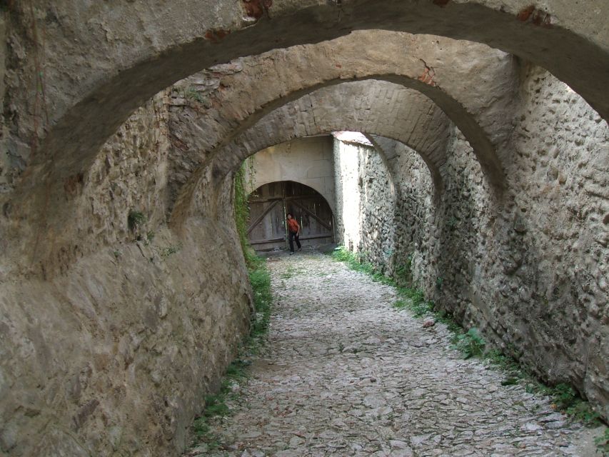 From Cluj: Sighișoara and Church of Biertan Guided Tour - What the guiding adds