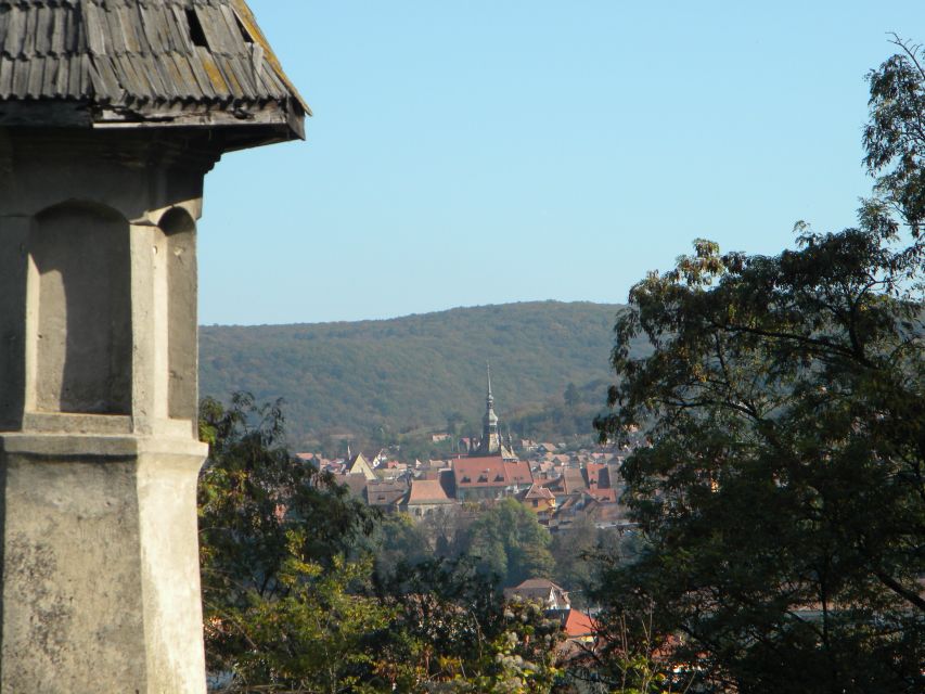 From Cluj: Sighișoara and Church of Biertan Guided Tour - Transport, pickup, and the real time cost
