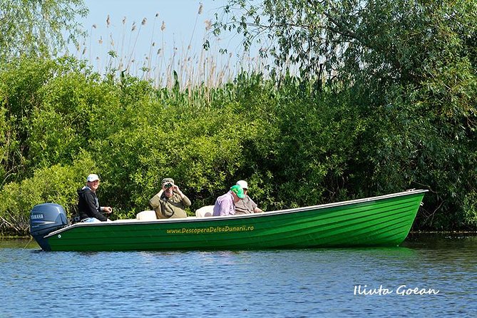 Guided Birdwatching day trip to the Danube Delta - private program - Key points at a glance