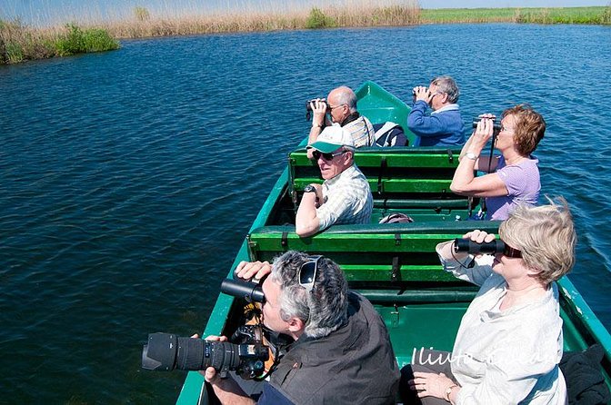 Guided Birdwatching day trip to the Danube Delta - private program - What you can expect on the water