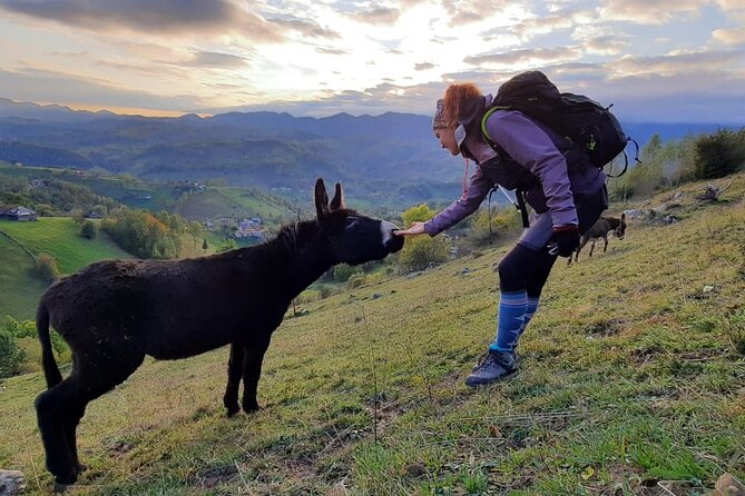 Hiking thought the best mountain villages in Romania-Private tour from Brasov - Why the Bucegi Views Matter