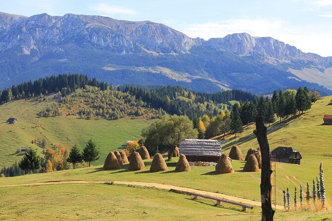 Hiking thought the best mountain villages in Romania-Private tour from Brasov - Who Will Enjoy This Day Most