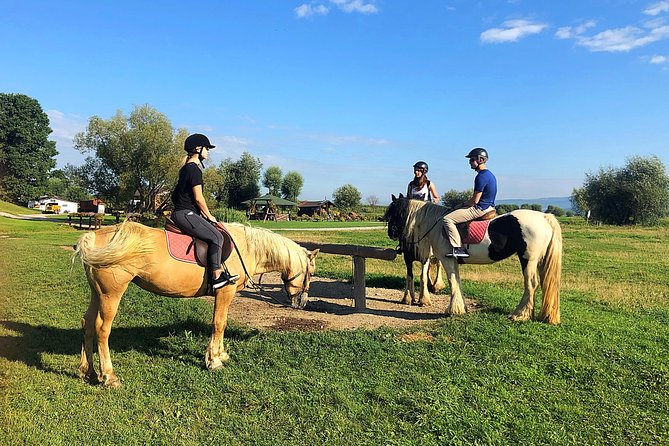 Horseback Riding Tour In Brasov - Ride Through Fields, Forests & Hills - Key points to know before booking