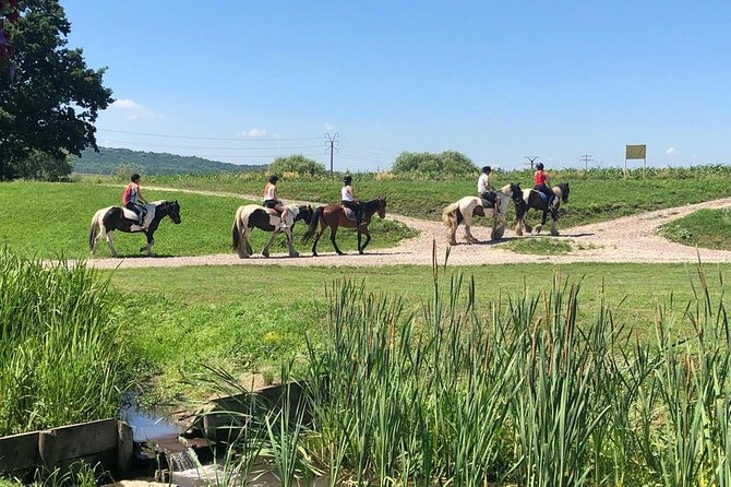 Horseback Riding Tour In Brasov - Ride Through Fields, Forests & Hills - Leaving Brasov for the local ranch