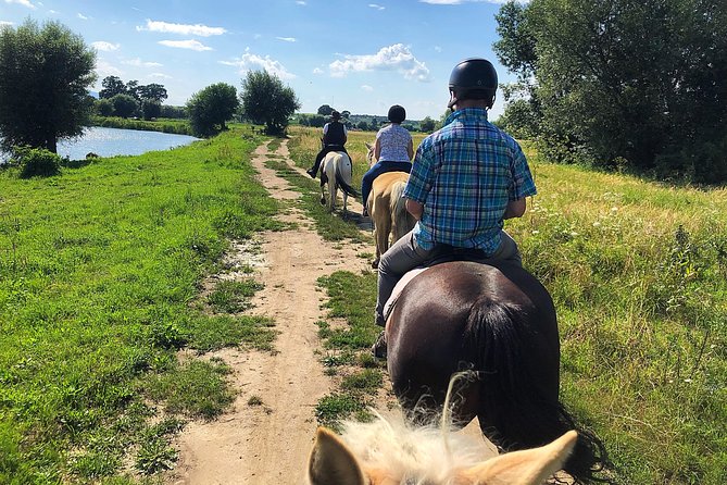 Horseback Riding Tour In Brasov - Ride Through Fields, Forests & Hills - Riding through fields, forests, and hills