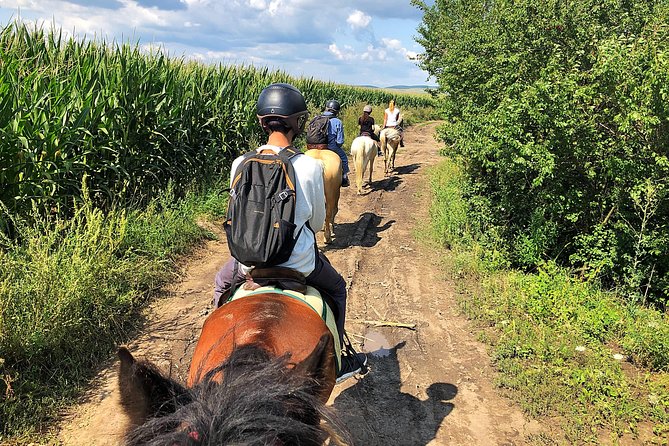 Horseback Riding Tour In Brasov - Ride Through Fields, Forests & Hills - What the one-hour ride really includes