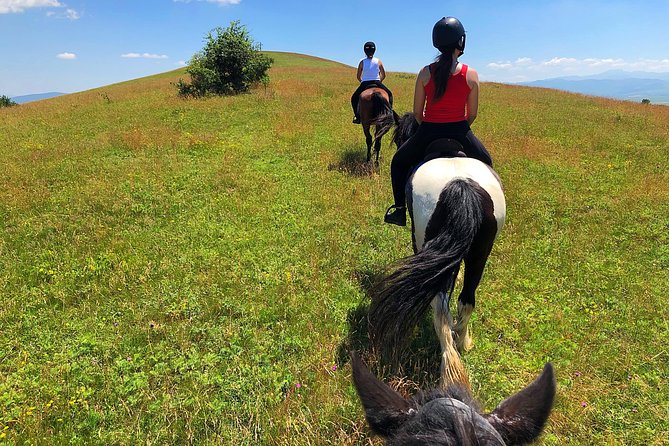 Horseback Riding Tour In Brasov - Ride Through Fields, Forests & Hills - Meeting Friesian and Andalusian horses at the ranch