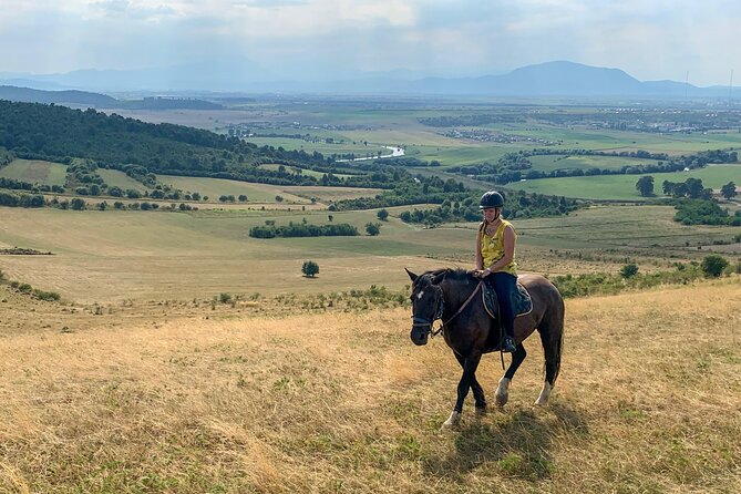 Horseback Riding Tour In Brasov - Ride Through Fields, Forests & Hills - Who will get the most from this Brasov tour