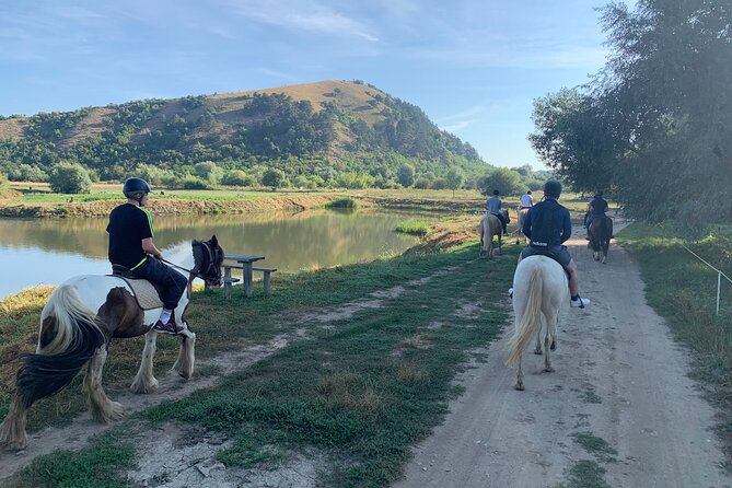 Horseback Riding Tour In Brasov - Ride Through Fields, Forests & Hills - Choosing a horse that fits your riding level