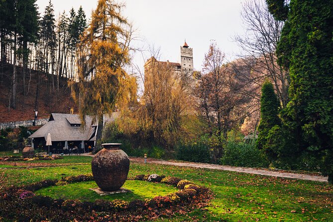 Legends&Wildlife Awaits: Dracula's Castle & Bear Sanctuary - Why Pair Bears With Dracula?