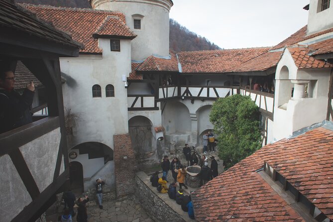 Legends&Wildlife Awaits: Dracula's Castle & Bear Sanctuary - Libearty Bear Sanctuary: Room to Roam