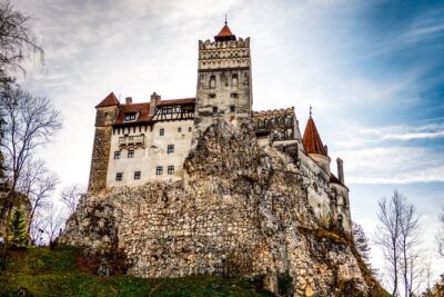 Legends&Wildlife Awaits: Dracula’s Castle & Bear Sanctuary
