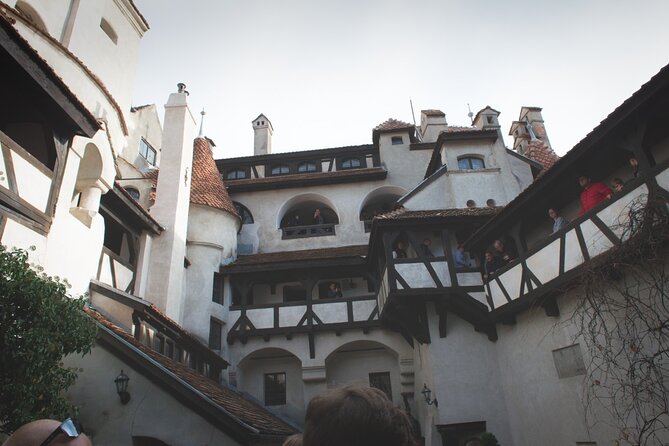 Legends&Wildlife Awaits: Dracula's Castle & Bear Sanctuary - A Full Day Without a Very Late Start
