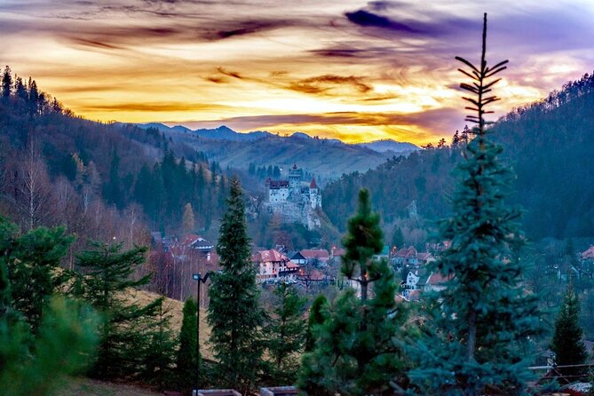 Legends&Wildlife Awaits: Dracula's Castle & Bear Sanctuary - Who Will Get the Most From This Tour?