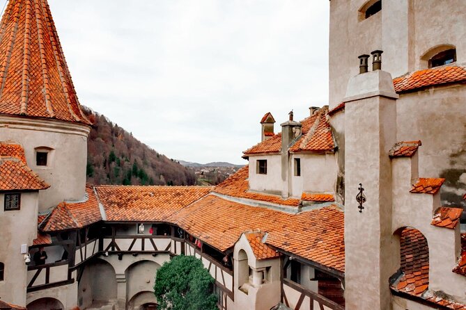 Legends&Wildlife Awaits: Dracula's Castle & Bear Sanctuary - Should You Book This Bucharest Day Trip?
