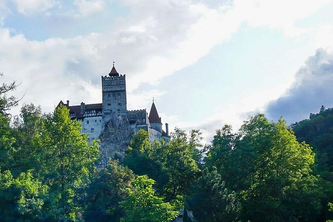Libearty Bear Sanctuary and Dracula's Castle - Day Tour from Bucharest - Lunch, local food, and useful guide help