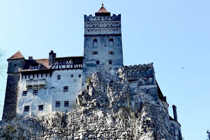 Libearty Bear Sanctuary and Dracula's Castle - Day Tour from Bucharest - Who should choose this Bucharest day tour?