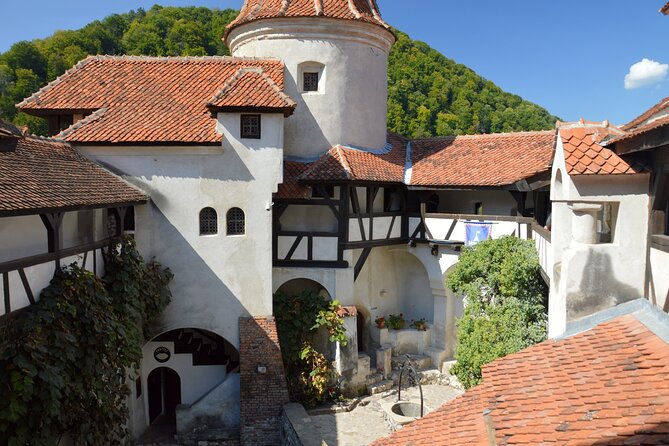 One Day Private Tour to Peles and Dracula Castles & Brasov City - Why this private Transylvania tour works