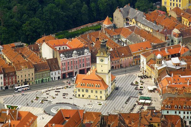 One day trip Bear Sanctuary Dracula Castel and Rasnov Fortress from Brasov - Rasnov Fortress is now a viewpoint, not a full fortress visit