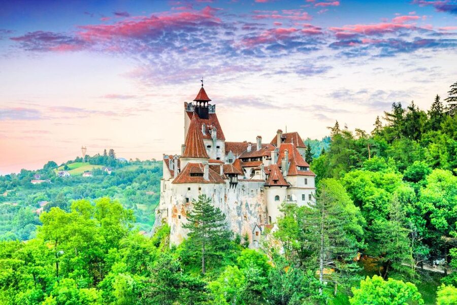 One day trip Bear Sanctuary, Dracula Castle - Why this pairing works so well