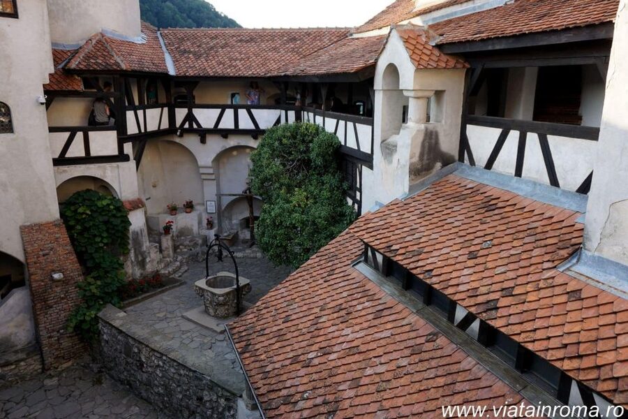 One day trip Bear Sanctuary, Dracula Castle - Should you book this Bear Sanctuary and Dracula Castle trip?