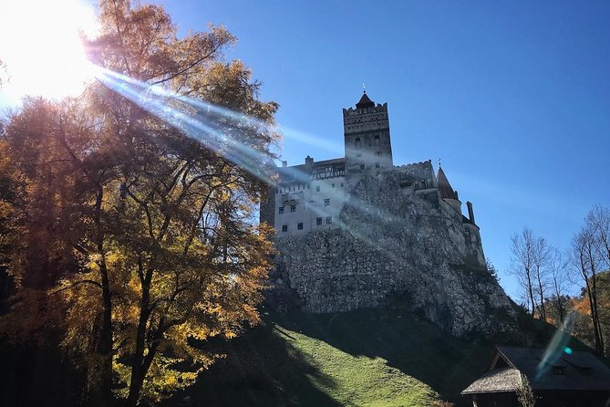 One day trip Bear Sanctuary, Dracula Castle, Rasnov Fortress from Brasov - Timing, crowds, and the eight-hour promise