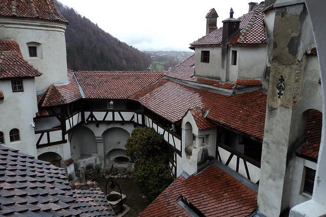 One day trip Bear Sanctuary, Dracula Castle, Rasnov Fortress from Brasov - The real cost and what you receive