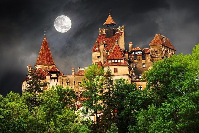 One day trip Bear Sanctuary, Dracula Castle, Rasnov Fortress from Brasov - Bran Castle beyond the Dracula label