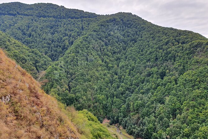 One-Day Vlad the Impaler Royal Court Private Tour from Bucharest - Curtea de Arges: royal faith and a sad legend