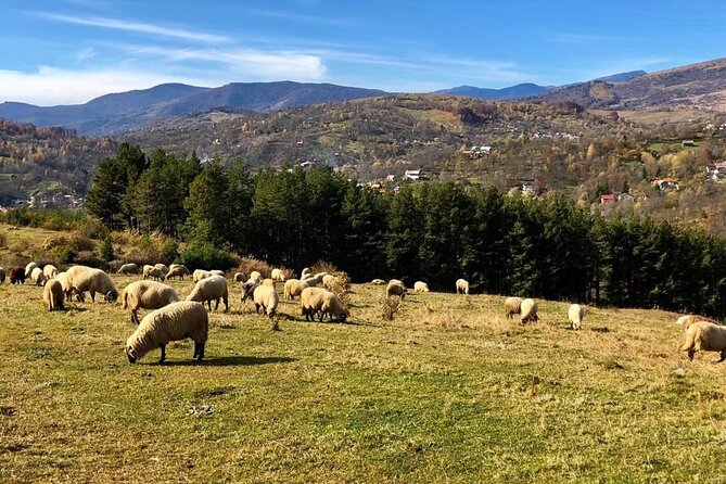 Original Carpathian Village Experience and Sinaia in one day tour - Why this Bucharest day trip feels different