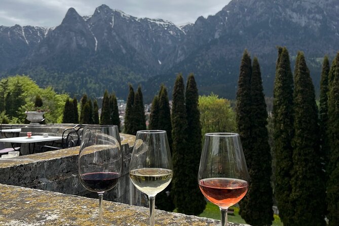 Peles & Cantacuzino Castles: Gourmet Wine & Cultural Day trip - The Drive Through the Prahova Valley