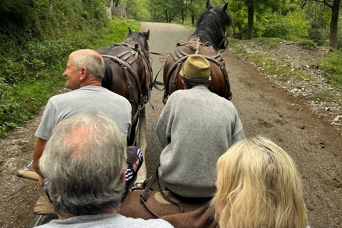 Peles castle and authentic Romanian village experience - day trip - Leaving Bucharest at 7:30 am