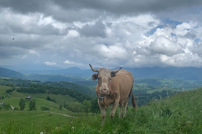 Peles castle and authentic Romanian village experience - day trip - The horse-drawn cart ride toward 1,000 meters