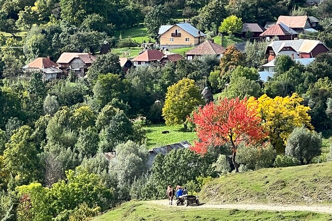 Peles castle and authentic Romanian village experience - day trip - What the $301.03 price really covers